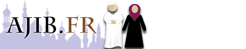 AJIB.fr – L'Islam au quotidien | Buzz, actualités, débats