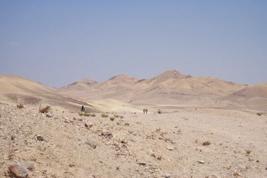 Les bédouins d’Israël, tantôt aidés, tantôt méprisés
