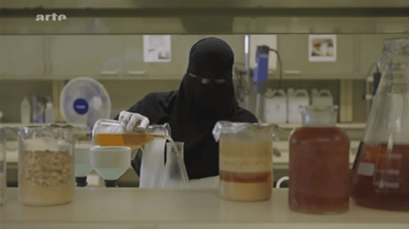 urine-chameau