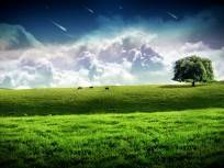prairie