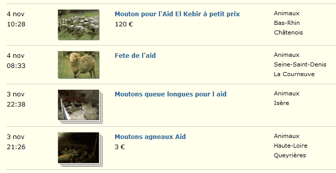 mouton-leboncoin-aid mouton aid el kebir