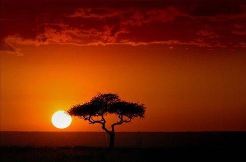 kenya