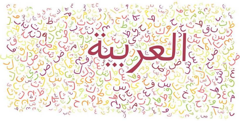 Noorosciences : Enseigner la langue arabe à la lumière des neurosciences