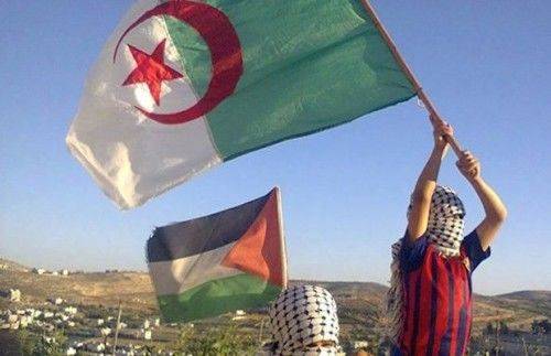 algérie palestine