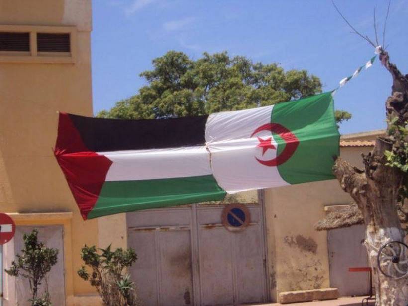 palestine algerie