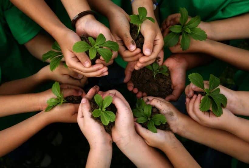 La protection de l'environnement