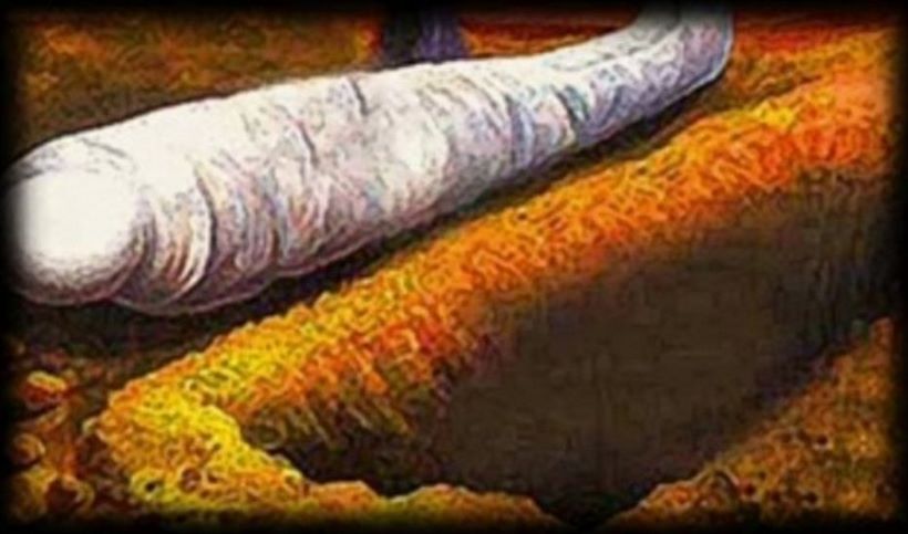 Voici tous les signes d'une bonne fin en islam !