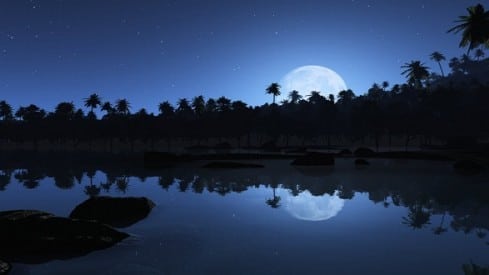 Allah considère ses créatures la nuit du Mi-Chaabane Allah considère ses créatures la nuit du Mi-Chaabane