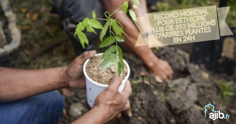 L'Ethiopie plante quatre milliards d’arbres en six mois Record-mondial-pour-Ethiopie-770x404