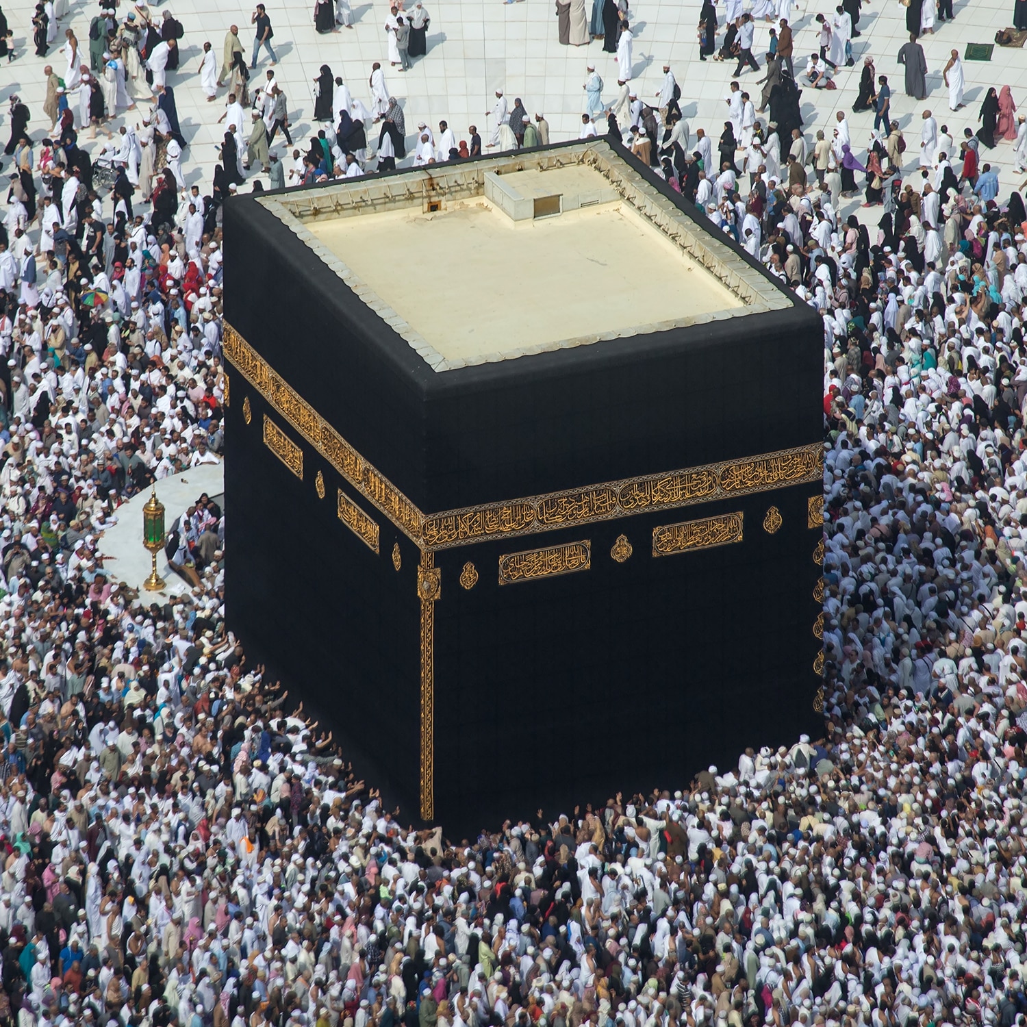 Ramadan : une pluie diluvienne intense pour les pèlerins en pleine omra (vidéo) Ramadan : une pluie diluvienne intense pour les pèlerins en pleine omra (vidéo)